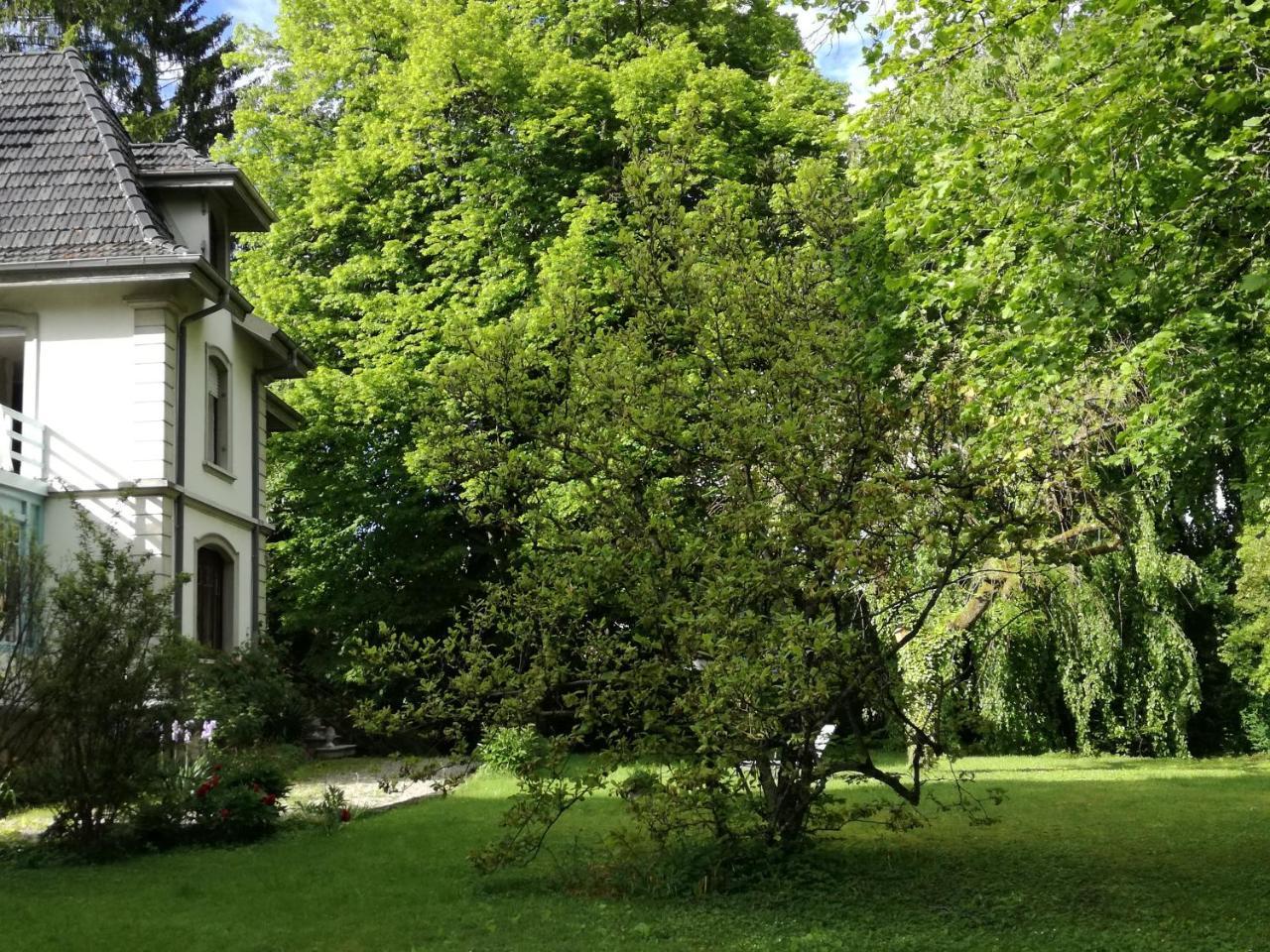 ช็องบร์ โดต ลา แมซง เดอ ฌูเลียต Bed & Breakfast Valentigney ภายนอก รูปภาพ